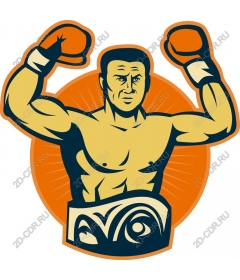 Victorious boxer