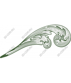  Elegant vortex