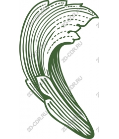 Inspired by the Wave