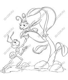  Fancy ant and insect