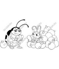  A bizarre insect duo