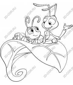  Charming ants on a leaf