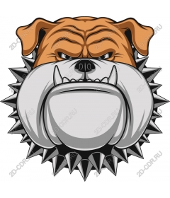 The head of a ferocious bulldog