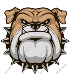  The Ferocious Bulldog