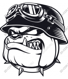  Fierce Bulldog Soldier