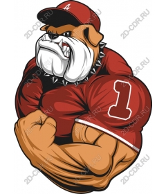  The sports mascot is the Ferocious Bulldog