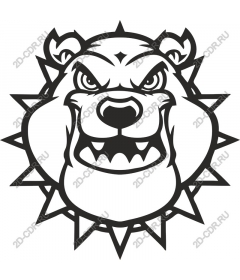 Ferocious Bear's head