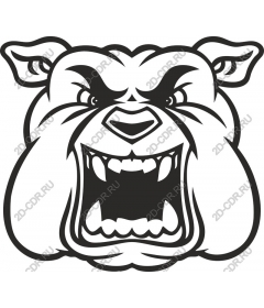  Angry Bulldog