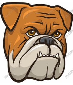 Bulldog