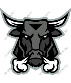  The mascot is a Ferocious Bull