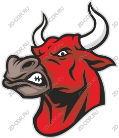 The head of a ferocious bull