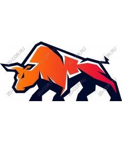 Dynamic Bull