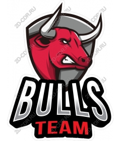 Firs Bulls Team