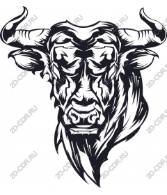 Majestic Bull's head