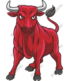Яркий Red Bull