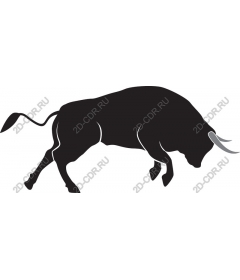 Dynamic Bull