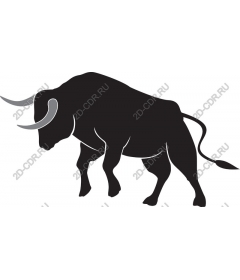  Powerful Bull