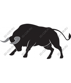 Majestic Bull