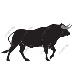  Powerful Bull