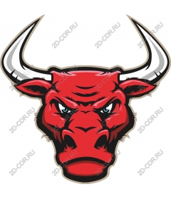 The head of a ferocious bull