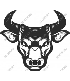 Powerful bull's head