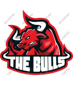 Bulls-Intense Bull