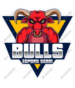  Bulls Esport Team