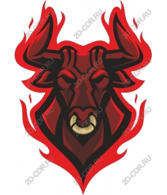 The head of a ferocious bull