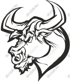  Bull's Head