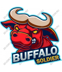  Buffalo Soldier
