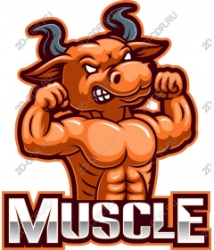  Brawny Bull