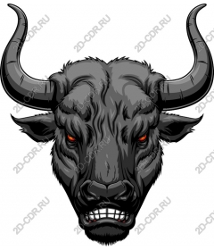 The head of a ferocious bull