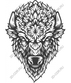 Majestic bison head