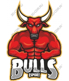 Bulls Esport work