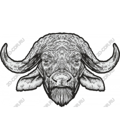  Buffalo Head