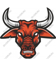 The head of a ferocious bull