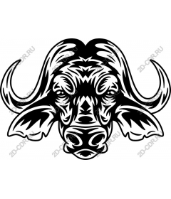  Buffalo Head