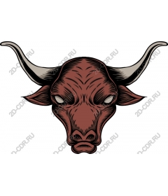  Bold Bull's Head