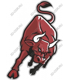  Fierce Bull
