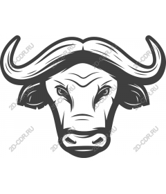  Buffalo Head