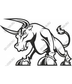 Dynamic Bull