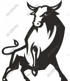  Fierce Bull
