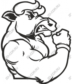  Ferocious Bull for Fitness