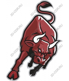  Fierce Red Bull