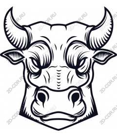  Bold Bull's Head