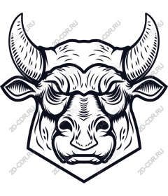 Head of a ferocious bull