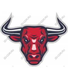 The head of a ferocious bull