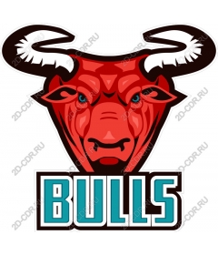  Ferocious bulls