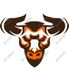 The skull of a raging bull