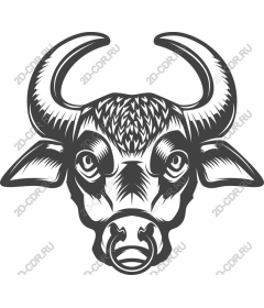  Brave bull's head